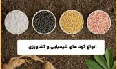 تامین و ارسال 650تن انواع کود کشاورزی به شهرستان کارون در هفته دوم دی‌ماه سال‌جاری