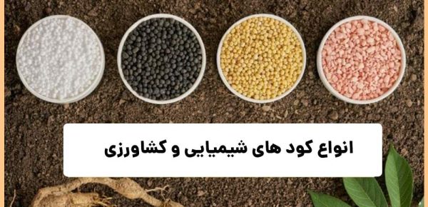 تامین و ارسال 650تن انواع کود کشاورزی به شهرستان کارون در هفته دوم دی‌ماه سال‌جاری