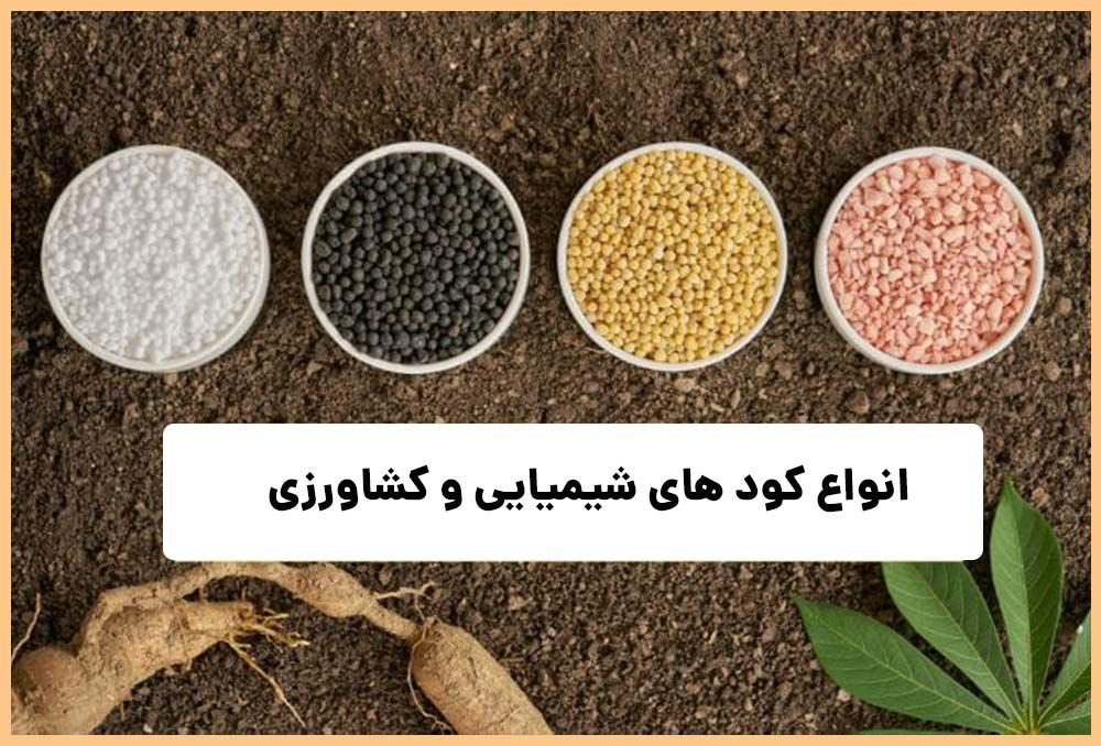 تامین و ارسال 650تن انواع کود کشاورزی به شهرستان کارون در هفته دوم دی‌ماه سال‌جاری