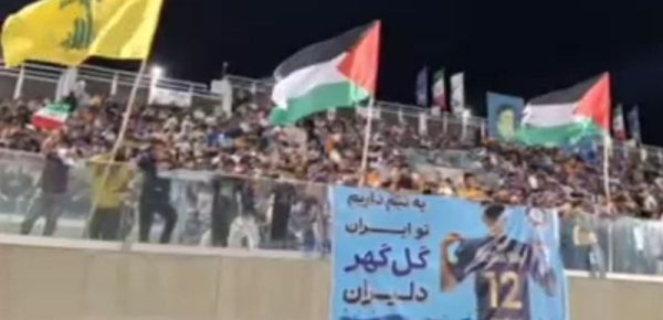 علت جمع آوری پرچم‌ها در بازی استقلال و گل گهر توسط پلیس