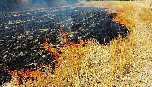 آتش زدن کاه و کلش زمین‌های کشاورزی در شهرستان کارون