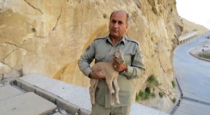 محیط‌بان بهبهانی هدف گلوله شکارچیان قرار گرفت