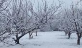افزایش ۱۱ درصدی آمار بارش در کنار تداوم خشکسالی