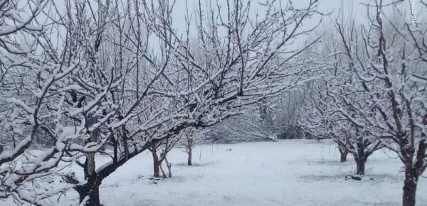 افزایش ۱۱ درصدی آمار بارش در کنار تداوم خشکسالی