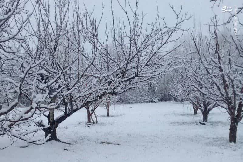 افزایش ۱۱ درصدی آمار بارش در کنار تداوم خشکسالی