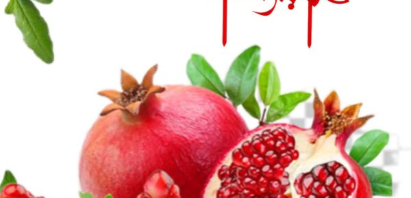 یلدا؛ طولانی‌ترین شب سال و نماد دوستی و محبت