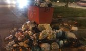 تجمع زباله در خیابان اصلی شهرستان کارون