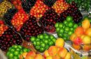 بازار شهرستان کارون زیر سایه گرانی میوه