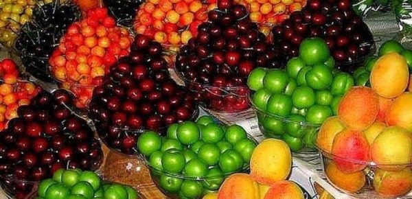 بازار شهرستان کارون زیر سایه گرانی میوه